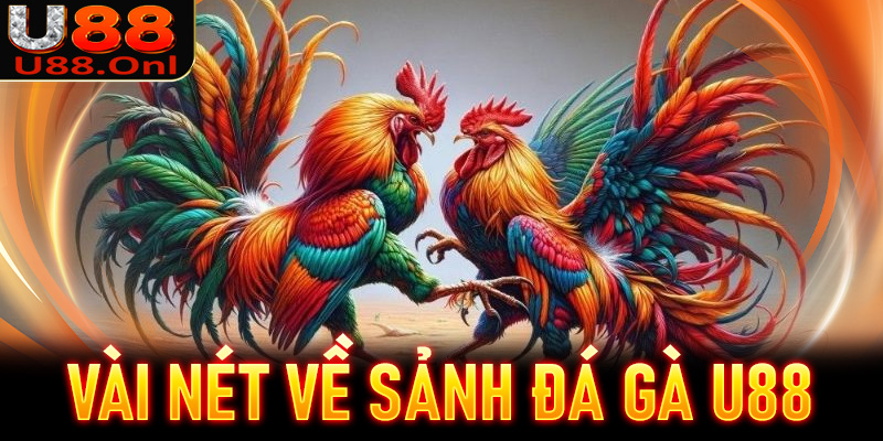 Vài nét sơ bộ về sảnh đặt cược đá gà U88